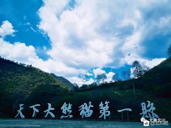孕产险-美亚幸孕果